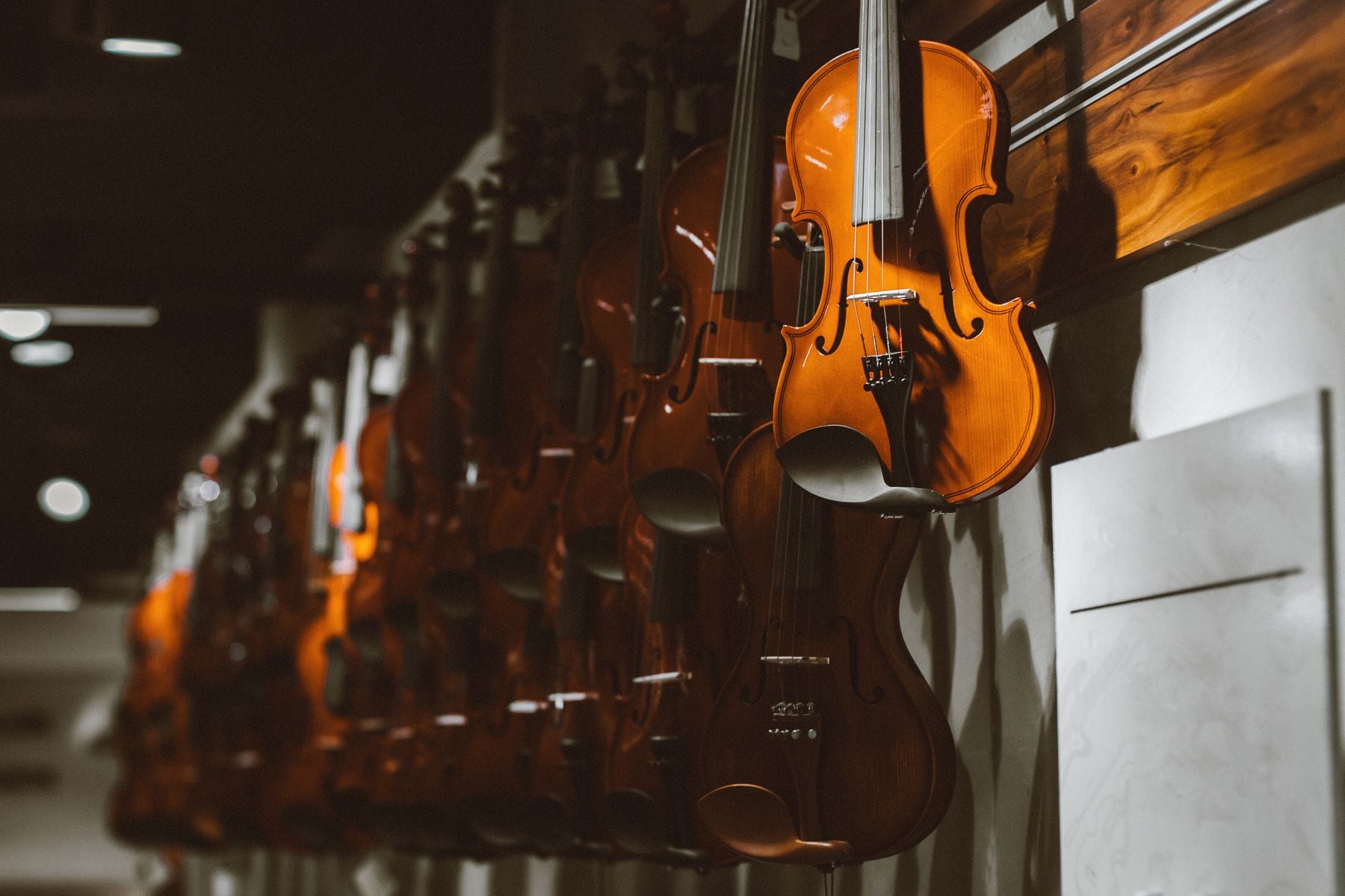 A row of violins hanging on the wall of a music shop.