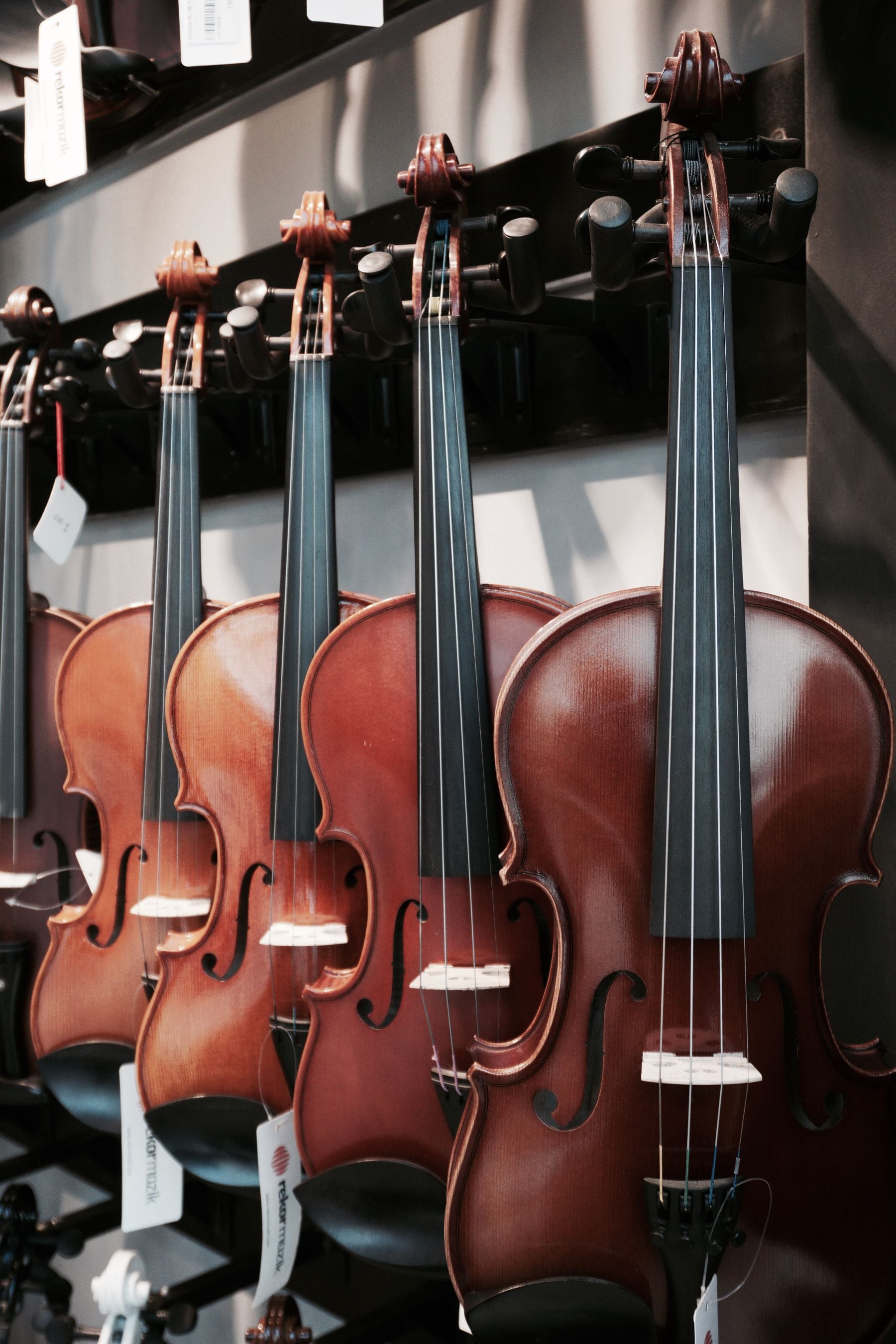 A rack of violins lined up for sale in a music shop.