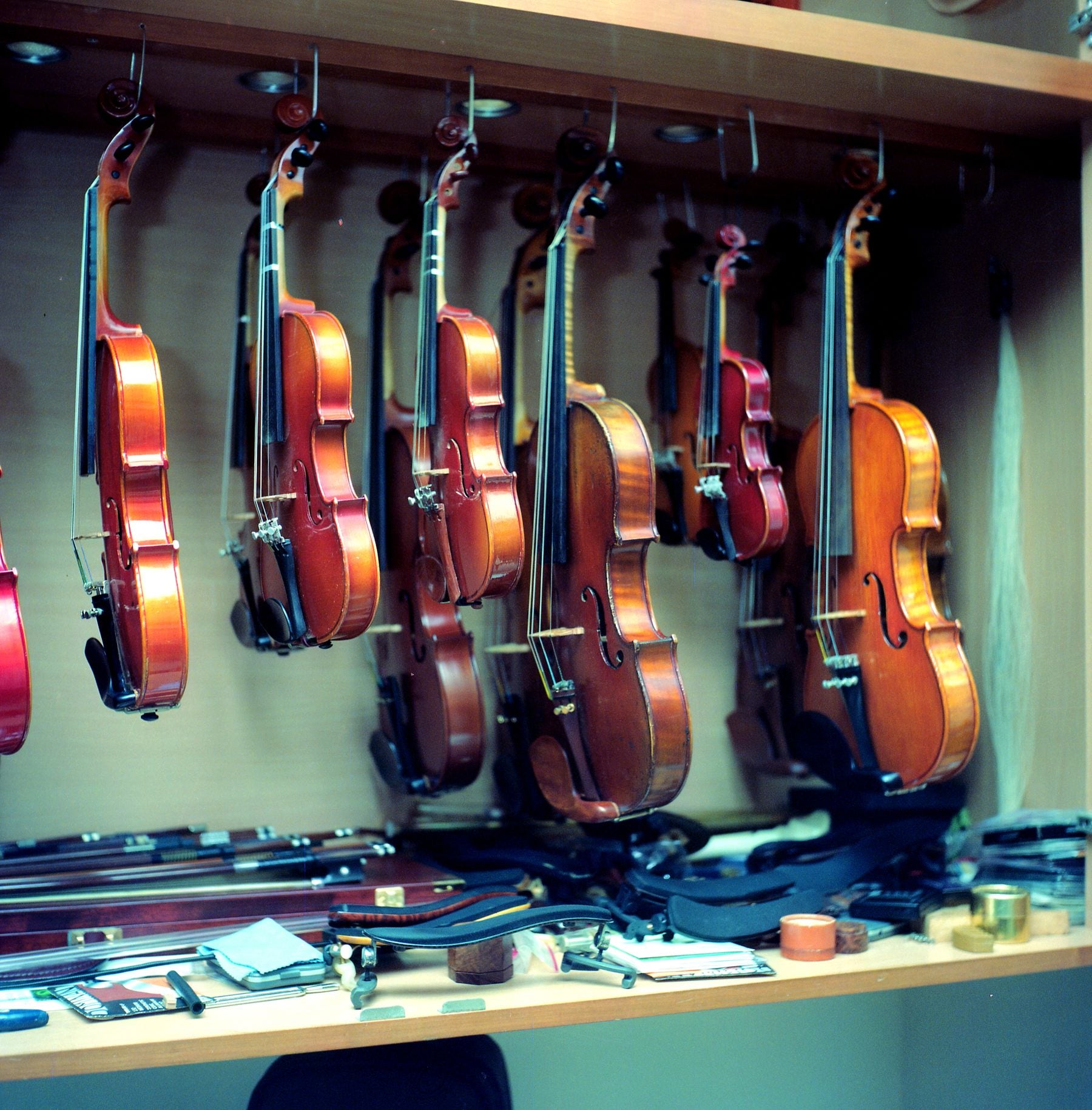 A collection of violins hanging in a workshop.