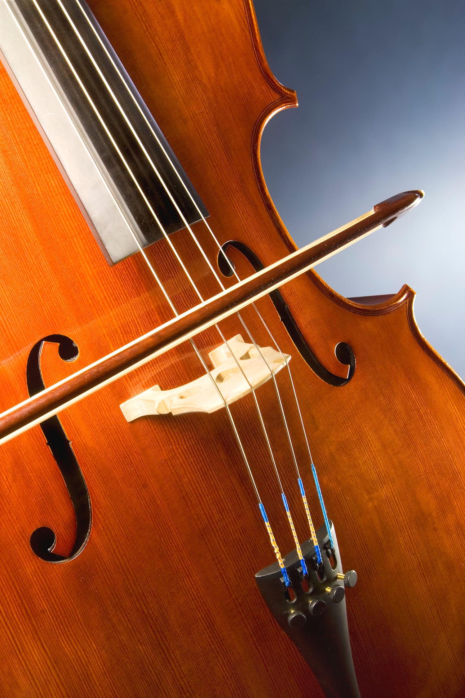 Cello cost guide