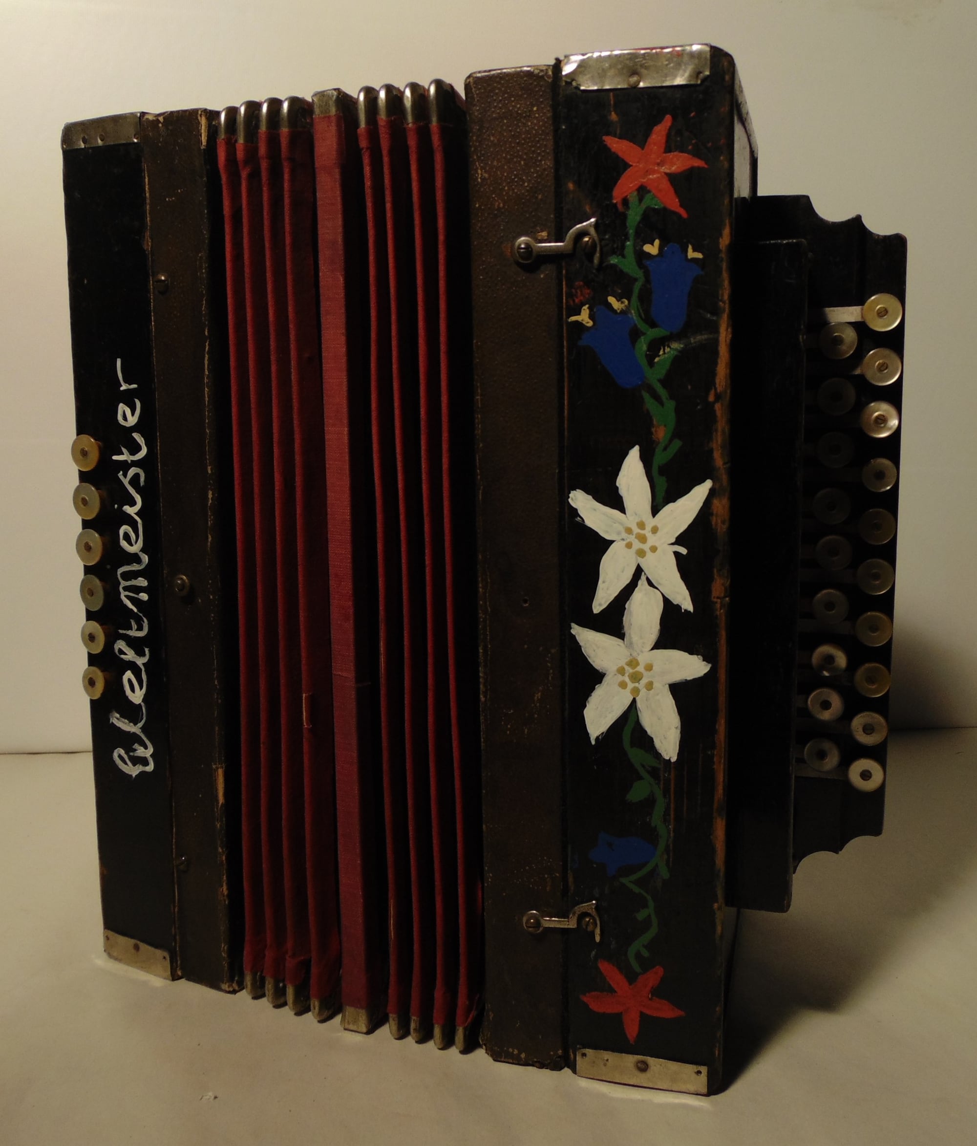 A student accordion of the kind a beginner starts on.
